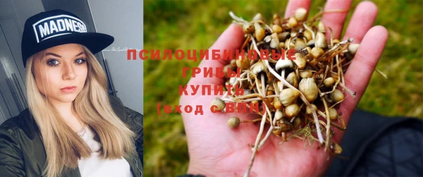 дмт Абаза