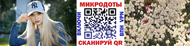 где купить наркоту Электроугли Псилоцибиновые грибы Cubensis