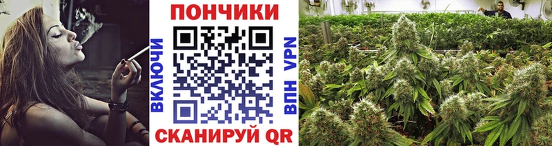 Шишки марихуана VHQ  блэк спрут онион  Электроугли 
